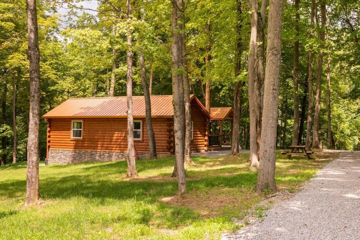 Secluded Wooded Cabin Near The Hocking Hills New Straitsville Zewnętrze zdjęcie